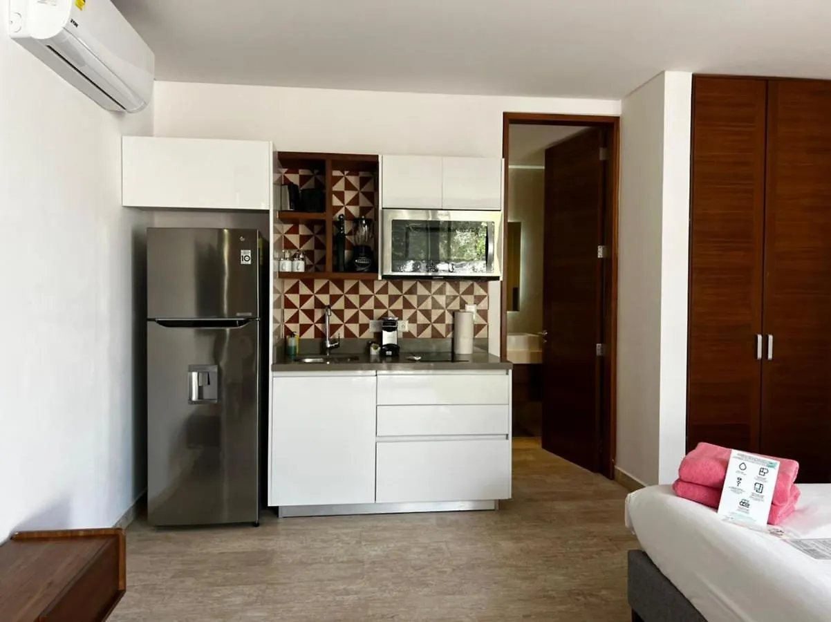 Apartment Central Park Modernstudio, Gym, Spa, Wi-Fi, Cowork Tulum Mexico