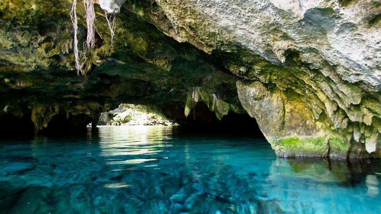 Central Park Modernstudio, Gym, Spa, Wi-Fi, Cowork Tulum Apartment