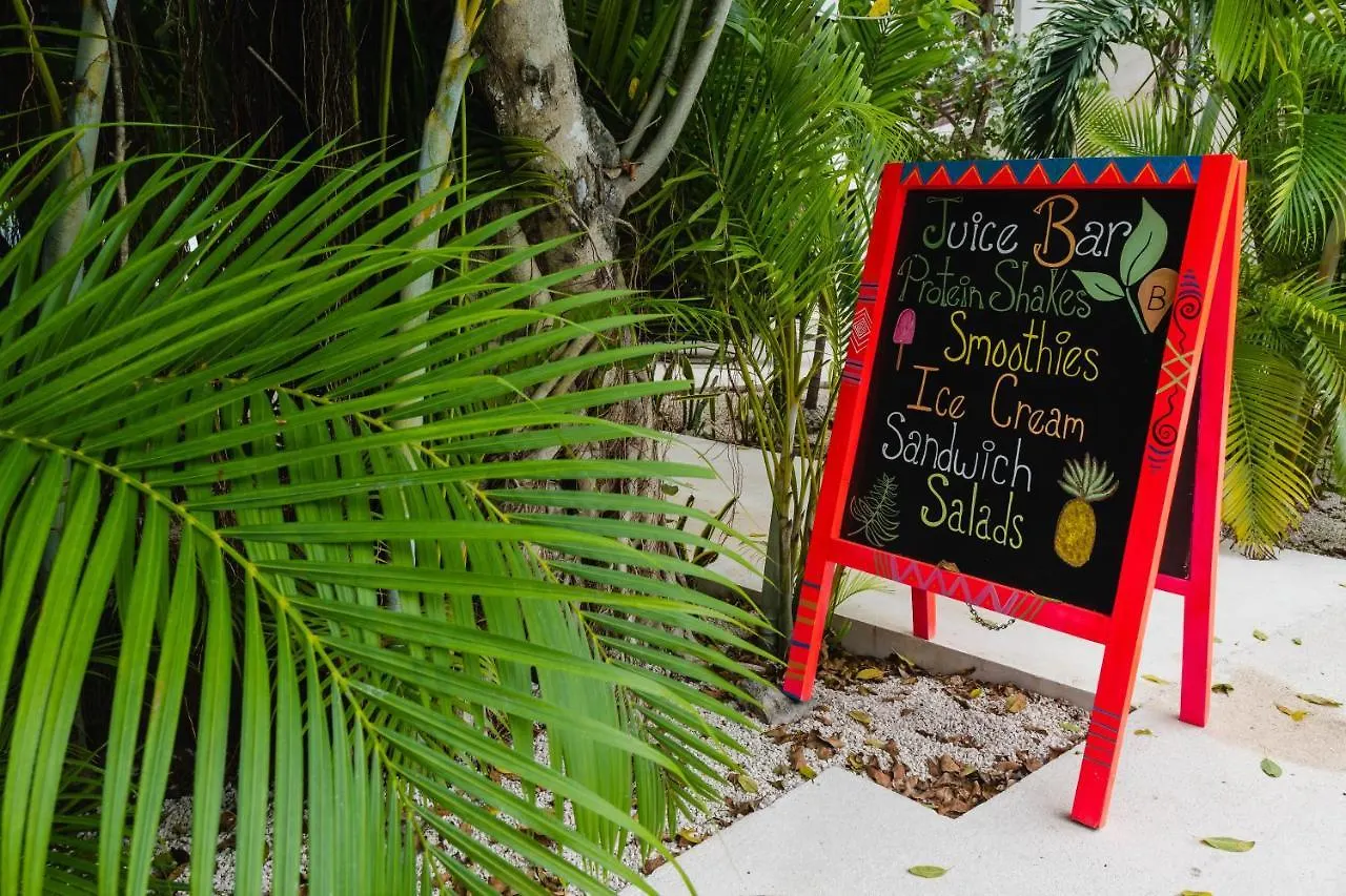 Apartment Central Park Modernstudio, Gym, Spa, Wi-Fi, Cowork Tulum